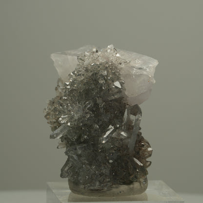 Starburst Quarz auf Matrix Stufe Streep Mine, Goboboseb, Namibia 34*33*28mm #14539