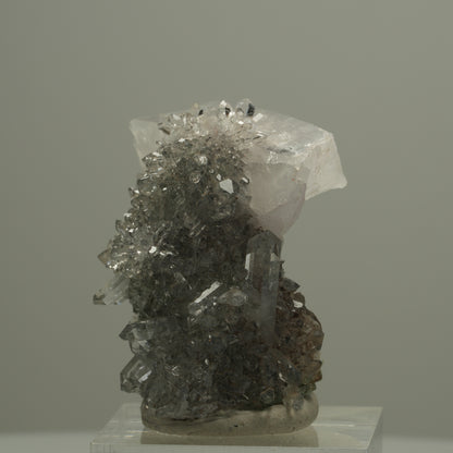 Starburst Quarz auf Matrix Stufe Streep Mine, Goboboseb, Namibia 34*33*28mm #14539