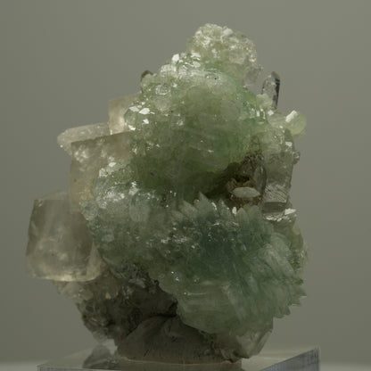 Seltene Quarz, Analcim, Prehnit, Calcit, Epidot Stufe Streep Mine Namibia 48*43*26mm #14556