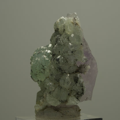 Phantom Amethyst mit Prehnit, Hämatit Streep Mine, Goboboseb, Namibia 51*30*25mm #14560