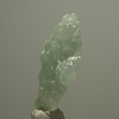 Seltene Prehnit Stufe, grün Streep Mine, Goboboseb, Namibia 50*38*11mm #14562