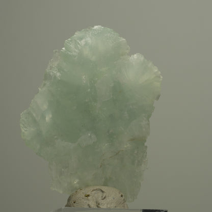 Seltene Prehnit Stufe, grün Streep Mine, Goboboseb, Namibia 50*38*11mm #14562