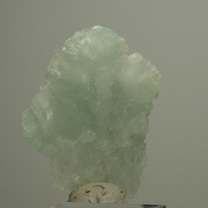 Seltene Prehnit Stufe, grün Streep Mine, Goboboseb, Namibia 50*38*11mm #14562