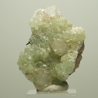 Seltene Prehnit, Epidot, Calcit Stufe Streep Mine Goboboseb Namibia 55*38*22mm #14648