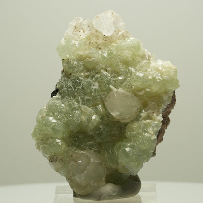 Seltene Prehnit, Epidot, Calcit Stufe Streep Mine Goboboseb Namibia 55*38*22mm #14648