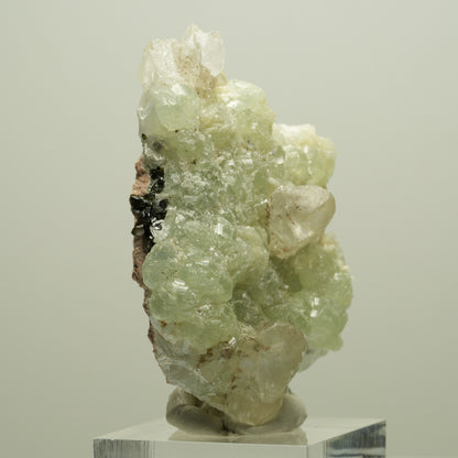 Seltene Prehnit, Epidot, Calcit Stufe Streep Mine Goboboseb Namibia 55*38*22mm #14648