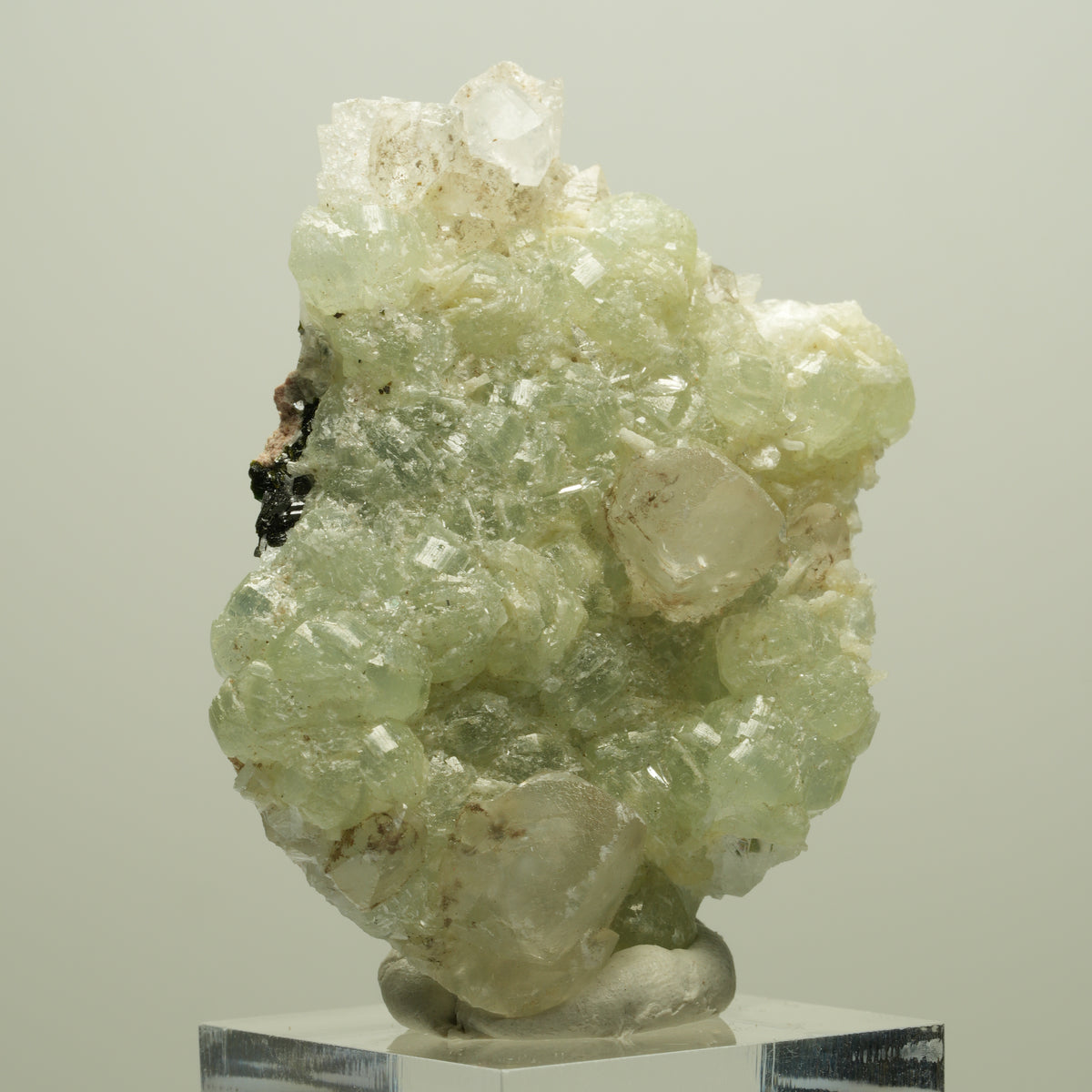 Seltene Prehnit, Epidot, Calcit Stufe Streep Mine Goboboseb Namibia 55*38*22mm #14648