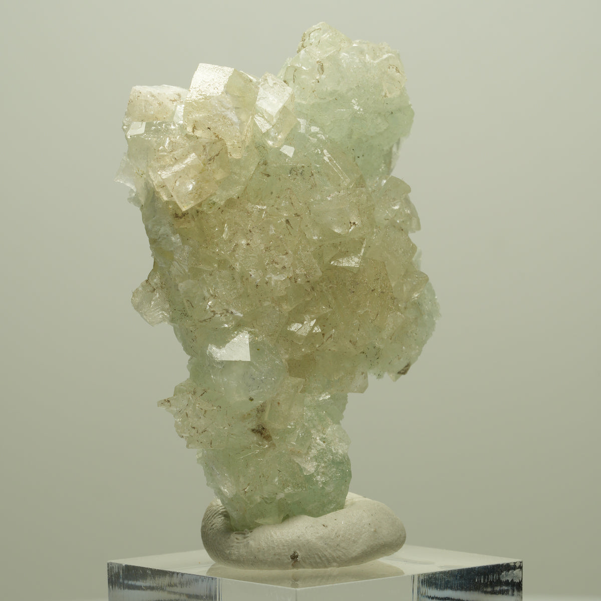 Seltene Prehnit, Calcit Stufe Streep Mine Goboboseb Namibia 52*37*16mm #14650