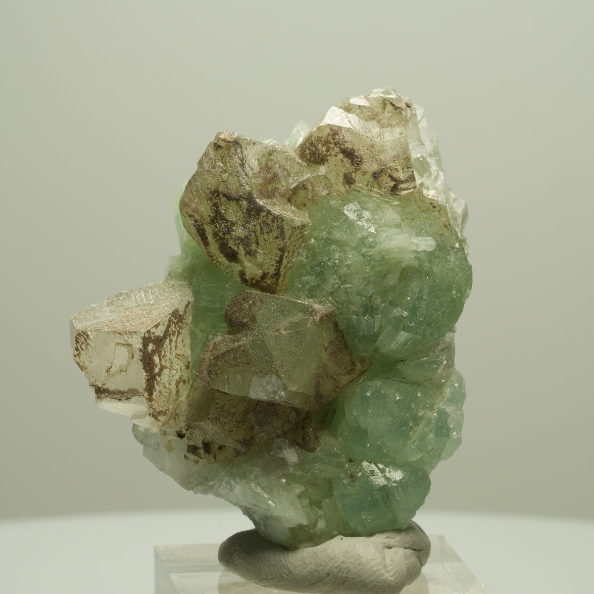Seltene Prehnit, Epidot, Calcit Stufe Streep Mine Goboboseb Namibia 50*40*24mm #14653