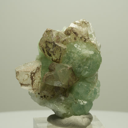 Seltene Prehnit, Epidot, Calcit Stufe Streep Mine Goboboseb Namibia 50*40*24mm #14653