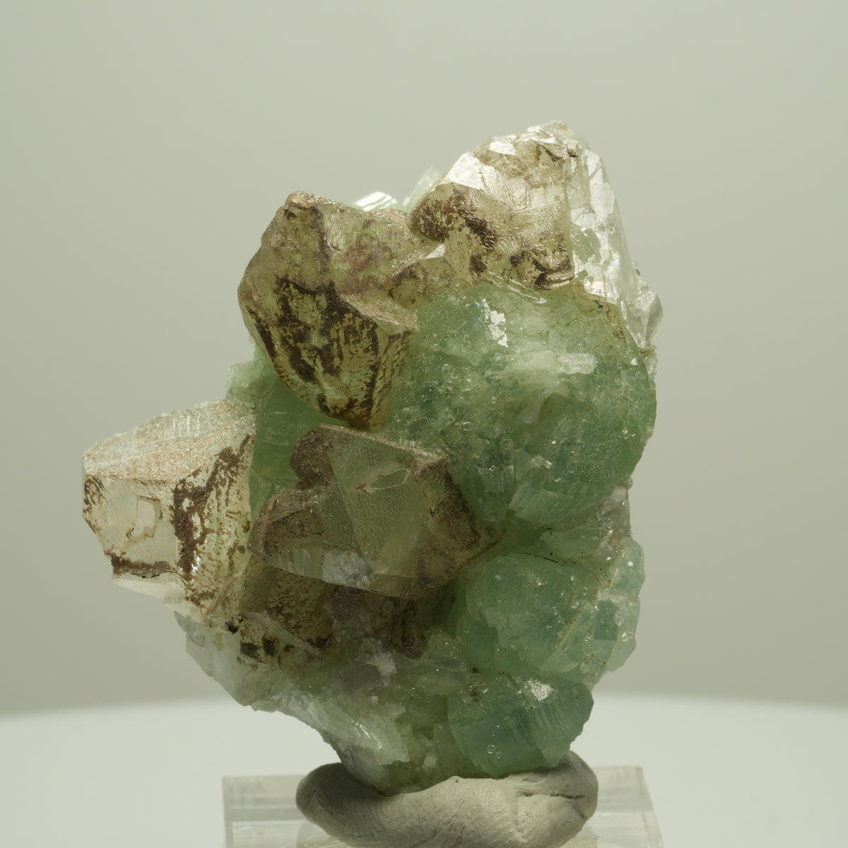 Seltene Prehnit, Epidot, Calcit Stufe Streep Mine Goboboseb Namibia 50*40*24mm #14653