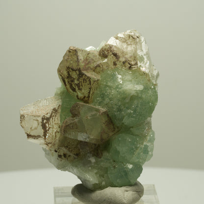 Seltene Prehnit, Epidot, Calcit Stufe Streep Mine Goboboseb Namibia 50*40*24mm #14653