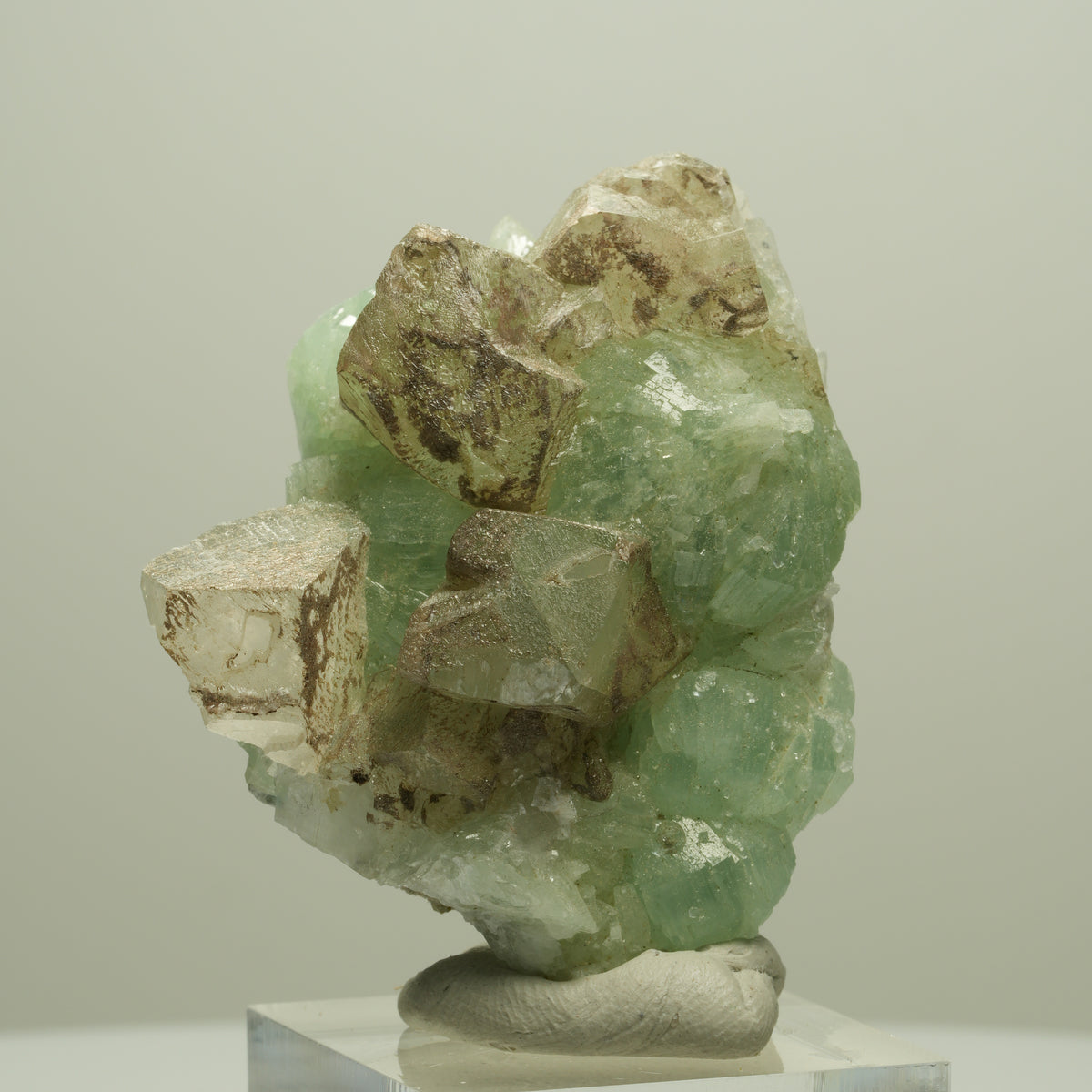 Seltene Prehnit, Epidot, Calcit Stufe Streep Mine Goboboseb Namibia 50*40*24mm #14653
