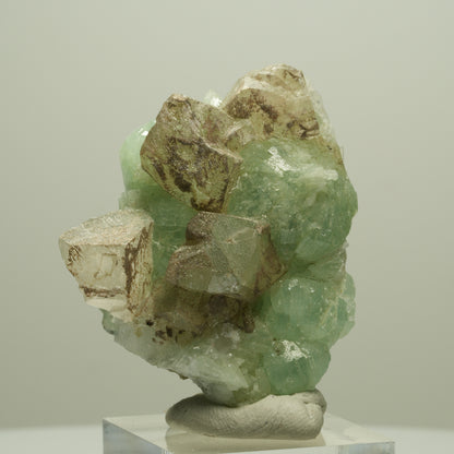 Seltene Prehnit, Epidot, Calcit Stufe Streep Mine Goboboseb Namibia 50*40*24mm #14653