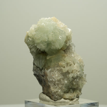 Starburst Quarz, Prehnit, Epidot auf Matrix Streep Mine Goboboseb Namibia 50*29*24mm #14656