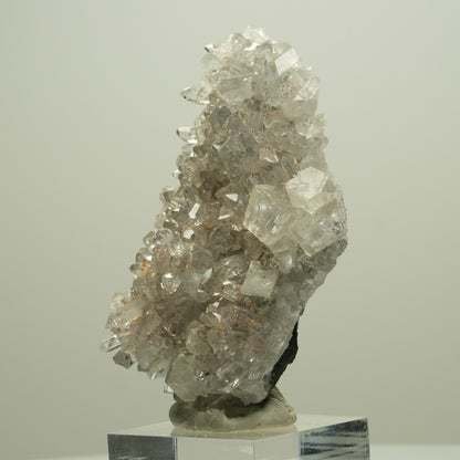 Harlekin Starburst Quarz, Calcit, Epidot auf Matrix Streep Mine, Namibia 65*45*17mm #14659