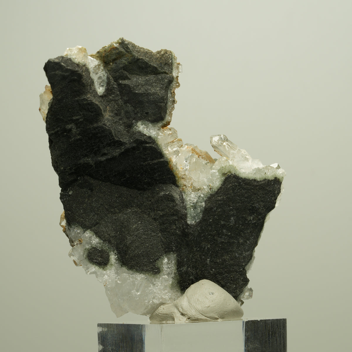 Harlekin Starburst Quarz, Epidot auf Matrix Streep Mine, Namibia 73*48*28mm #14660