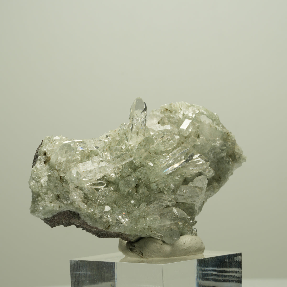Starburst Quarz, Epidot auf Matrix Streep Mine Goboboseb Namibia 66*36*18mm #14662