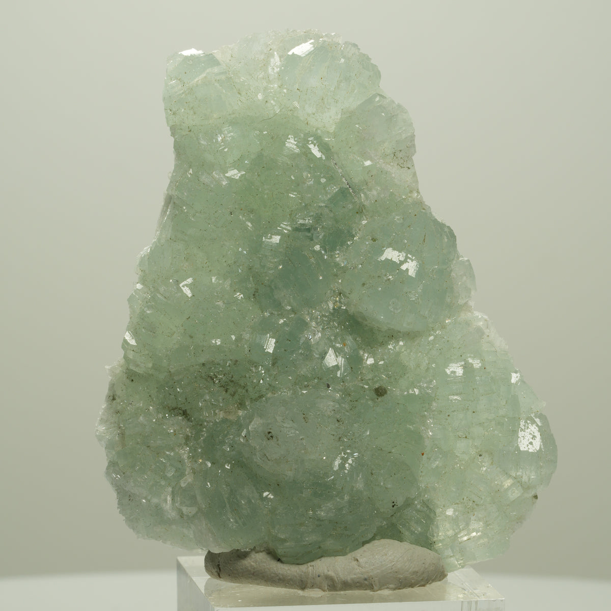 Seltene Prehnit, Epidot Stufe Streep Mine Goboboseb Namibia 60*48*17mm #14679