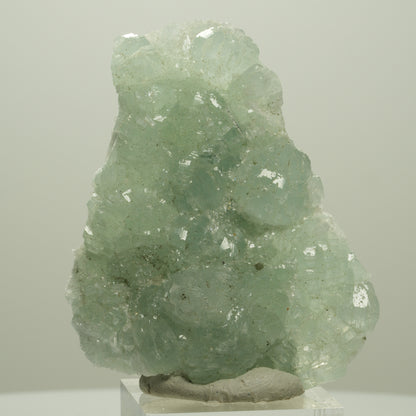 Seltene Prehnit, Epidot Stufe Streep Mine Goboboseb Namibia 60*48*17mm #14679