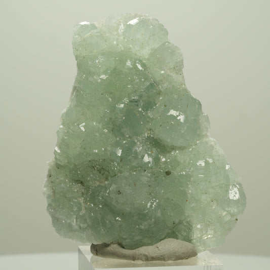 Seltene Prehnit, Epidot Stufe Streep Mine Goboboseb Namibia 60*48*17mm #14679