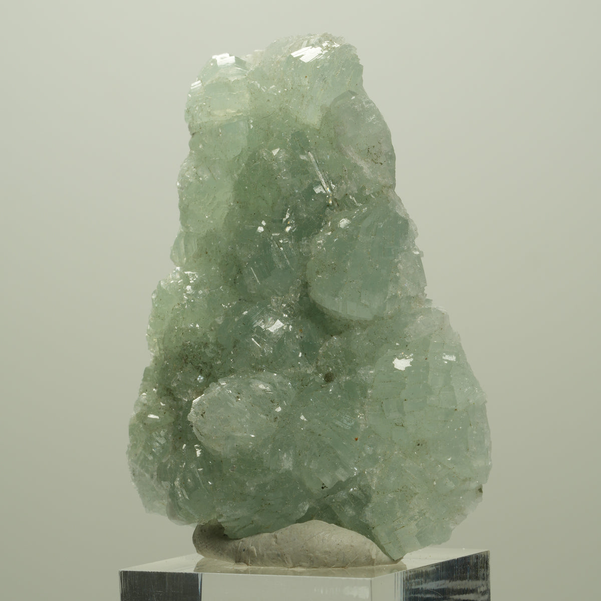 Seltene Prehnit, Epidot Stufe Streep Mine Goboboseb Namibia 60*48*17mm #14679