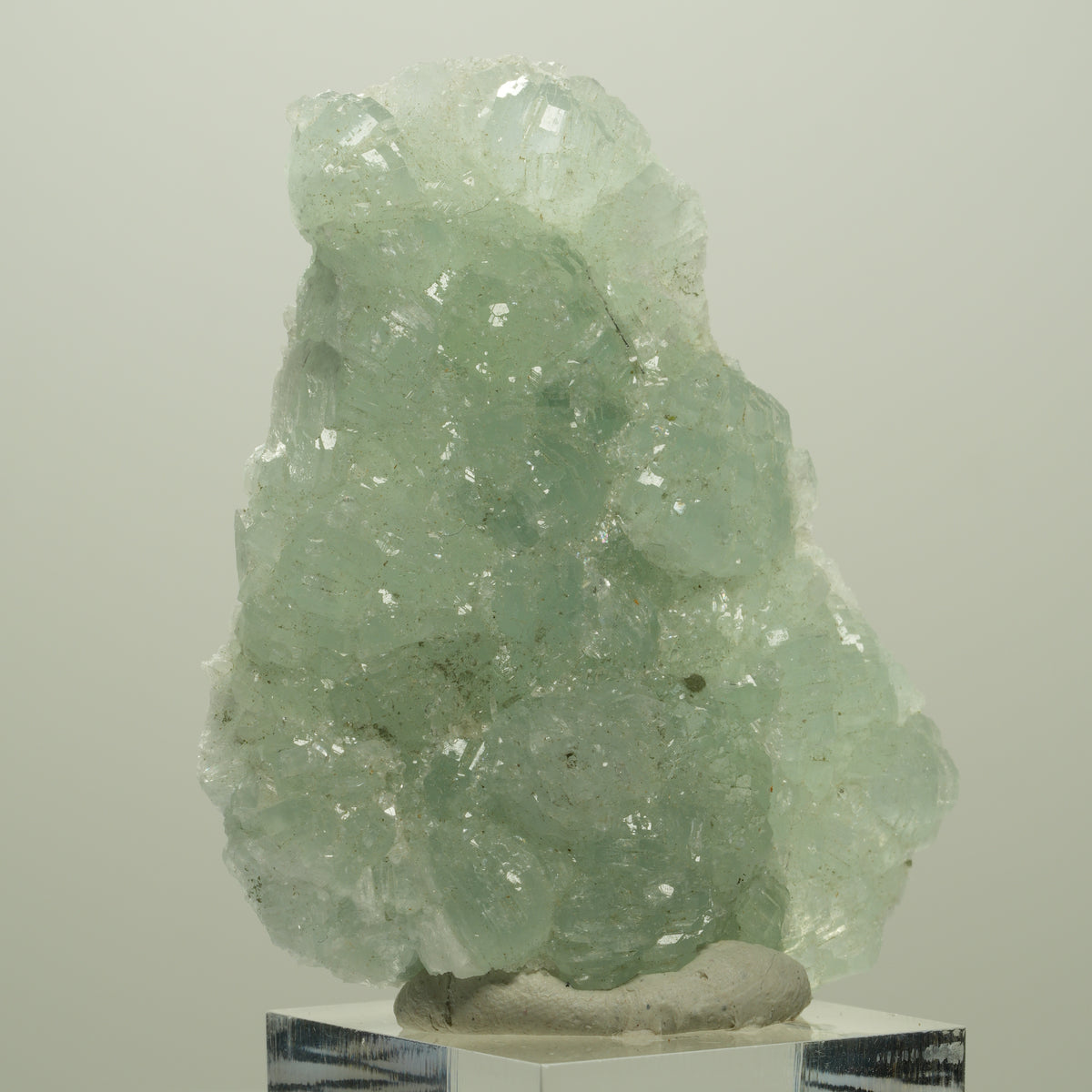 Seltene Prehnit, Epidot Stufe Streep Mine Goboboseb Namibia 60*48*17mm #14679