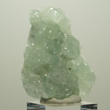 Seltene Prehnit, Epidot Stufe Streep Mine Goboboseb Namibia 60*48*17mm #14679