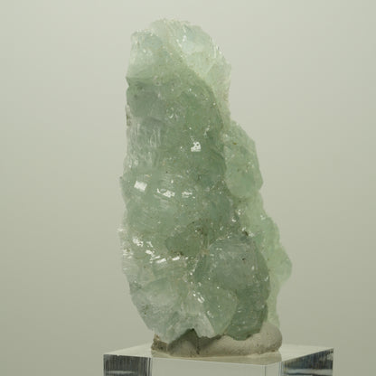 Seltene Prehnit, Epidot Stufe Streep Mine Goboboseb Namibia 60*48*17mm #14679