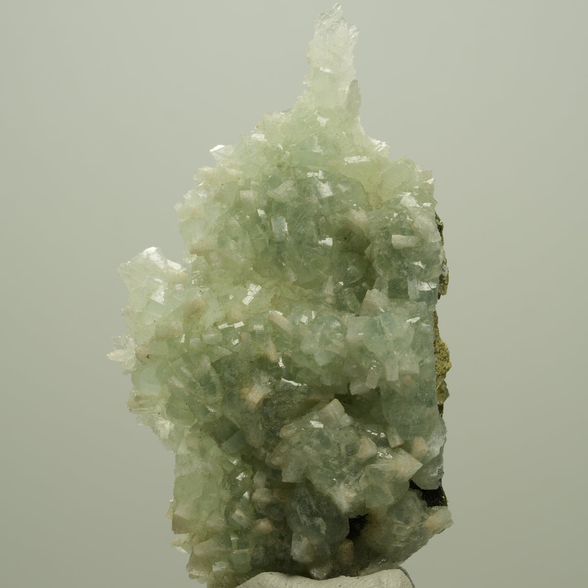 Seltene Prehnit, Epidot, Calcit Stufe Streep Mine Goboboseb Namibia 66*37*17mm #14680