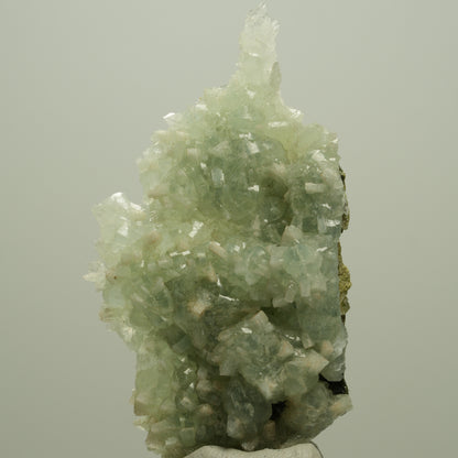 Seltene Prehnit, Epidot, Calcit Stufe Streep Mine Goboboseb Namibia 66*37*17mm #14680