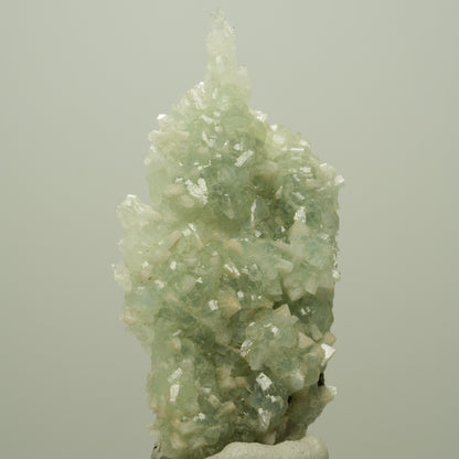 Seltene Prehnit, Epidot, Calcit Stufe Streep Mine Goboboseb Namibia 66*37*17mm #14680