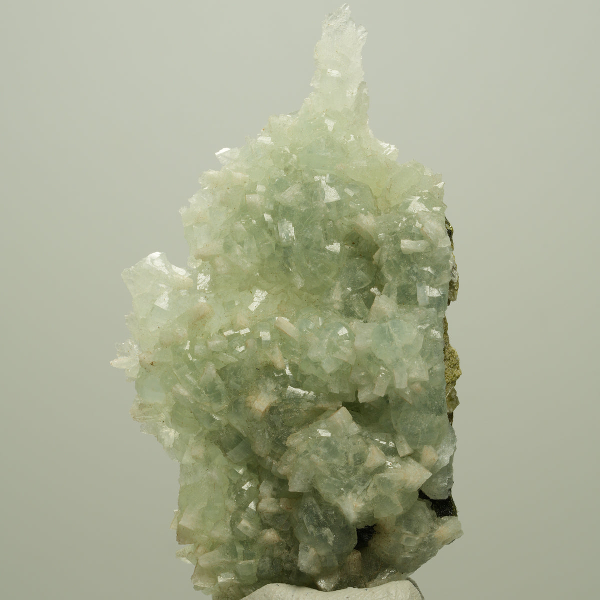 Seltene Prehnit, Epidot, Calcit Stufe Streep Mine Goboboseb Namibia 66*37*17mm #14680
