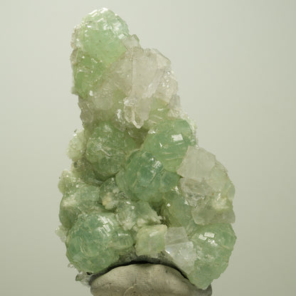 Quarz, Prehnit, Calcit, Analcim, Epidot auf Matrix Streep Mine, Namibia 82*55*25mm #14684
