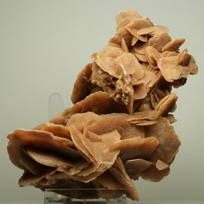 Große Sandrose, Wüstenrose Sahara, Marokko 175*99*108mm #14714
