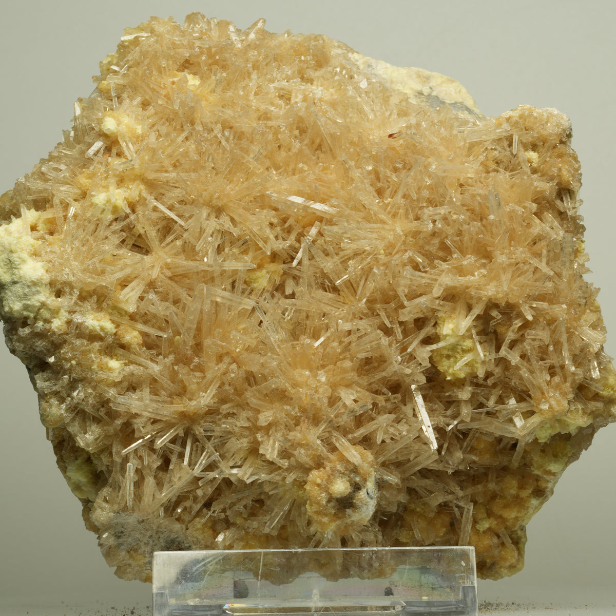 Große Nadelgips, (Gips, Selenit), Schwefel Stufe Unbekannt 113*113*64mm #14716