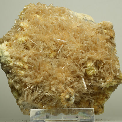 Große Nadelgips, (Gips, Selenit), Schwefel Stufe Unbekannt 113*113*64mm #14716