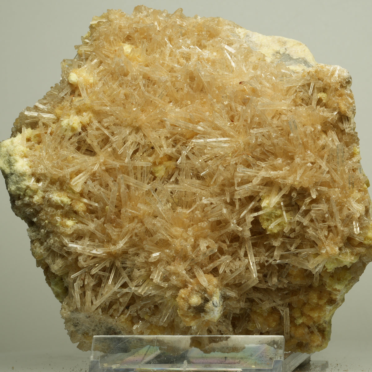 Große Nadelgips, (Gips, Selenit), Schwefel Stufe Unbekannt 113*113*64mm #14716