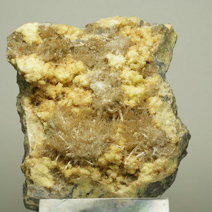 Große Nadelgips, (Gips, Selenit), Schwefel Stufe Unbekannt 100*80*54mm #14719