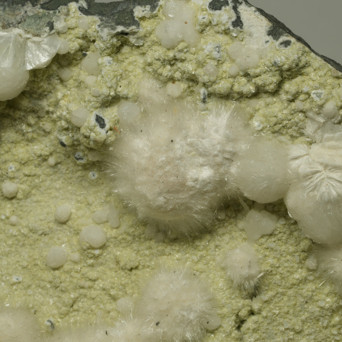 XXL Okenit-Geode auf Basaltgestein  Malad, Mumbai, MH, Indien 175*135*78mm #14721