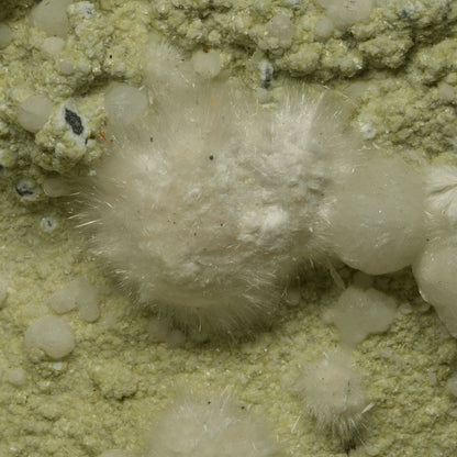 XXL Okenit-Geode auf Basaltgestein  Malad, Mumbai, MH, Indien 175*135*78mm #14721