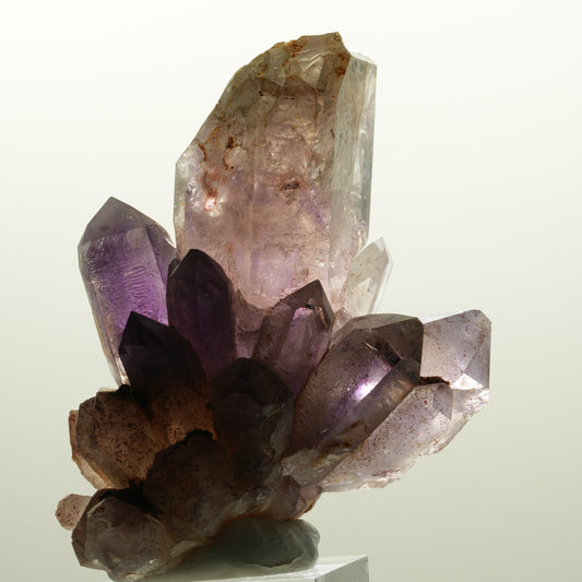 Seltene Skelett Phantom Amethyst Zepter Gruppe Brandberg, Namibia 67*54*55mm #14736