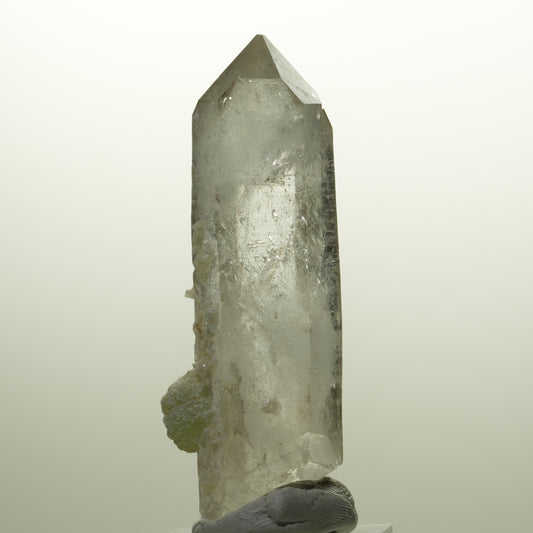 Skelett Phantom Rauchquarz mit Prehnit Streep Mine Goboboseb, Namibia 66*20*24mm #14738