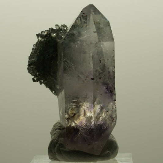 Seltene Harlekin Phantom Amethyst, Starburst Quarz Matrix Streep Mine Namibia 48*31*24mm #14806
