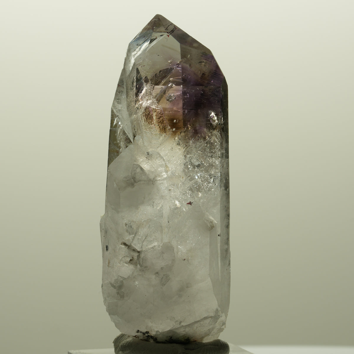 Lemurian Skelett Phantom Amethyst mit Hämatit Streep Mine, Goboboseb, Namibia 59*23*19mm #14812