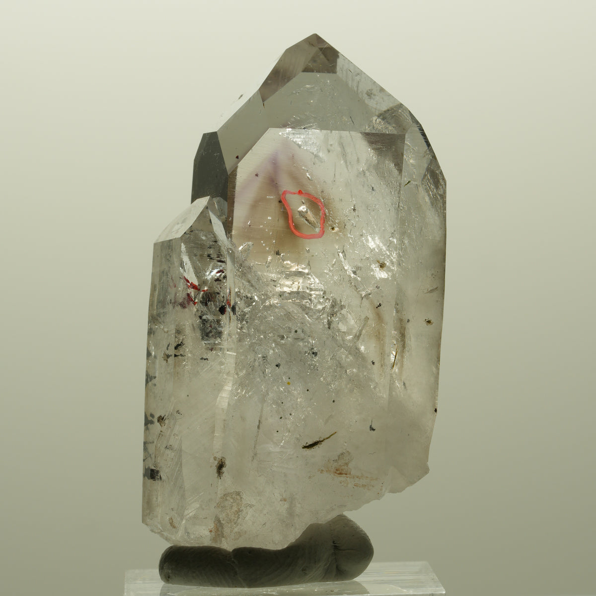 Enhydro Harlekin Lemurian Phantom Amethyst, 1x Blase Streep Mine, Namibia 53*29*24mm #14813