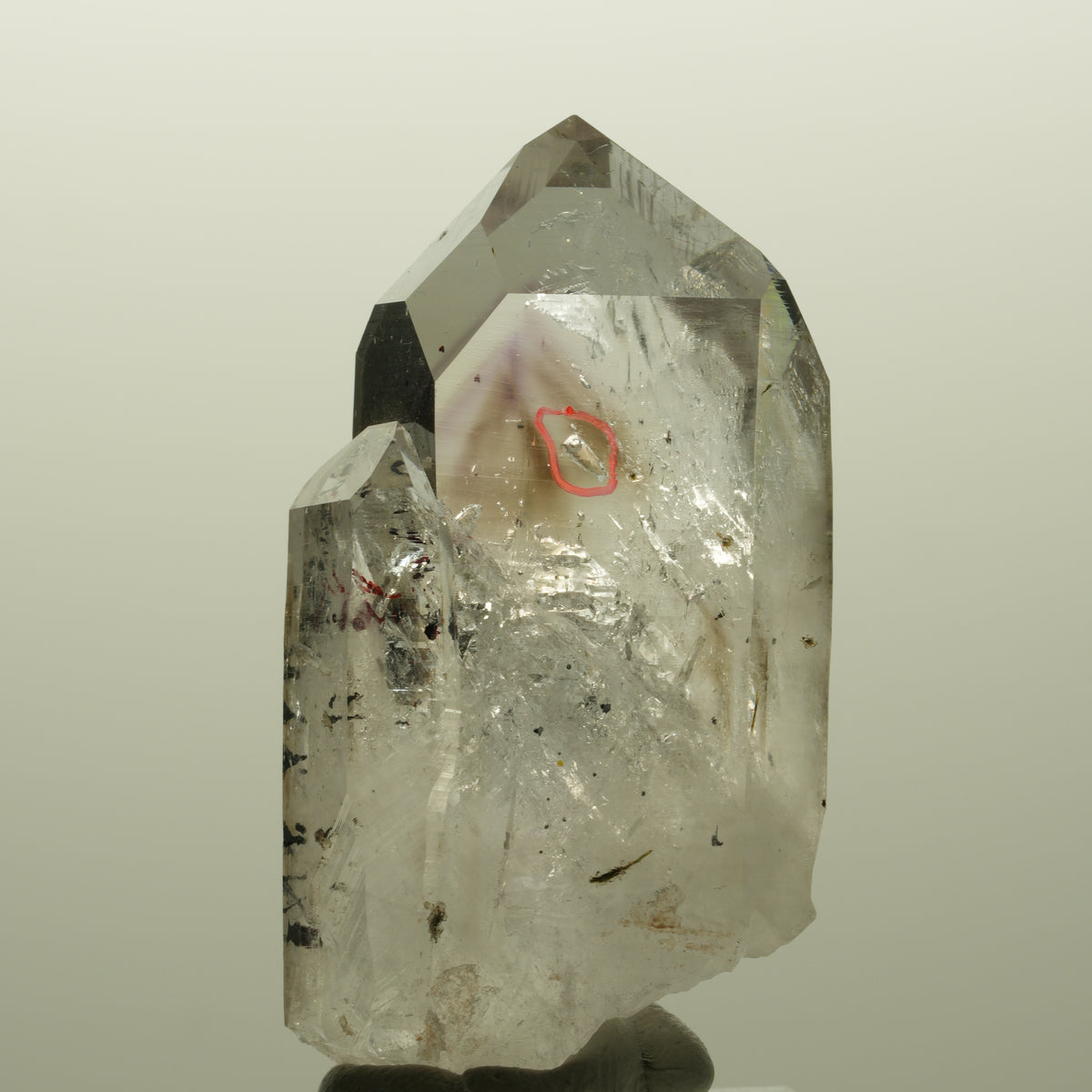 Enhydro Harlekin Lemurian Phantom Amethyst, 1x Blase Streep Mine, Namibia 53*29*24mm #14813
