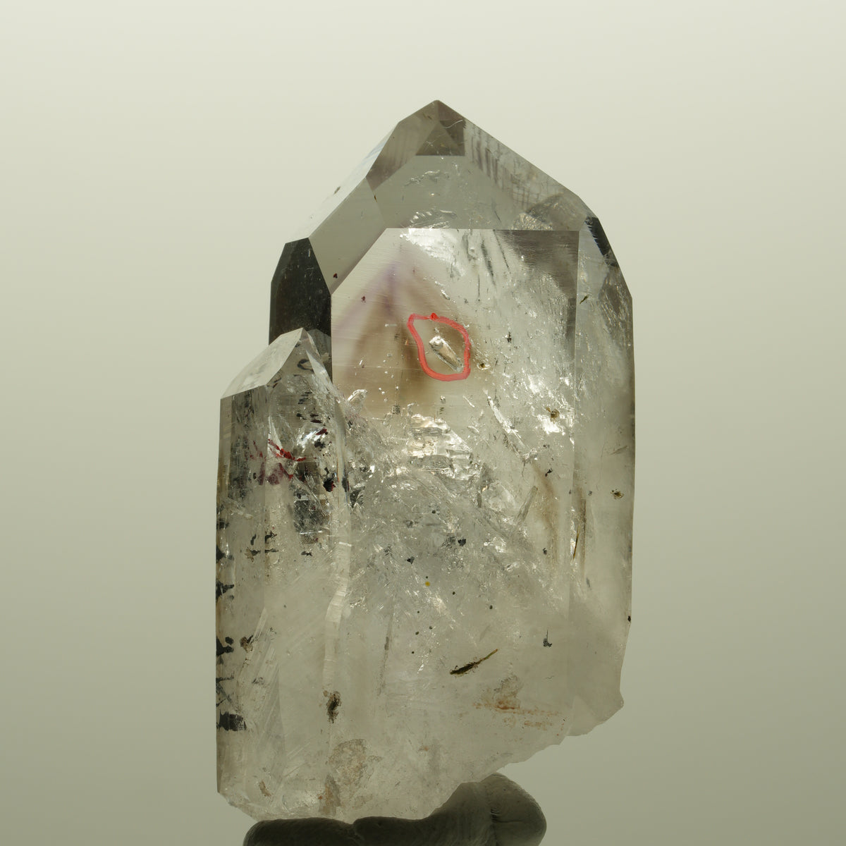 Enhydro Harlekin Lemurian Phantom Amethyst, 1x Blase Streep Mine, Namibia 53*29*24mm #14813