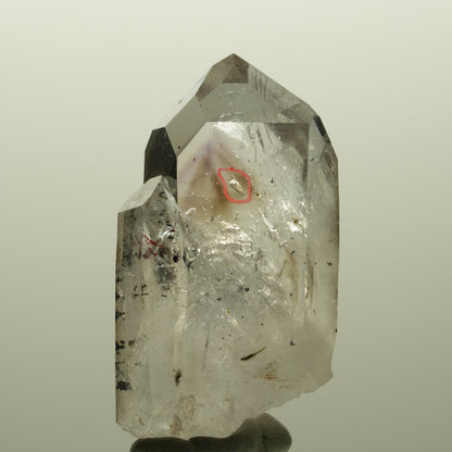 Enhydro Harlekin Lemurian Phantom Amethyst, 1x Blase Streep Mine, Namibia 53*29*24mm #14813