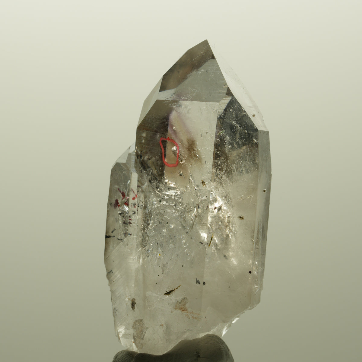 Enhydro Harlekin Lemurian Phantom Amethyst, 1x Blase Streep Mine, Namibia 53*29*24mm #14813